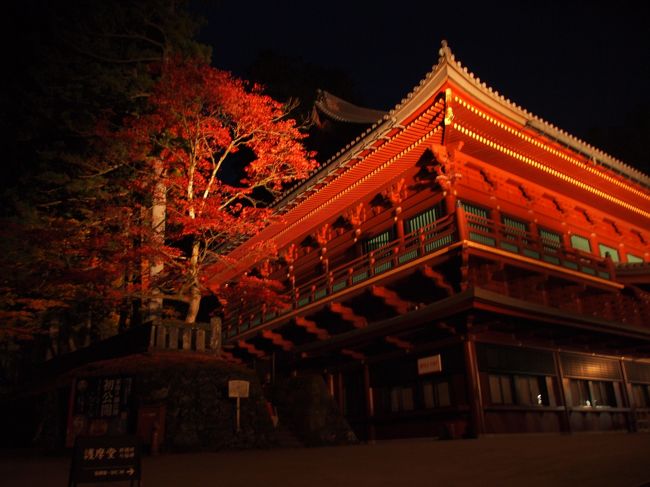 ライトアップ日光は世界文化遺産「日光の社寺」を夜間に照明で彩るイベントです。2015年は10月30日（金）から11月1日（日）の3日間限定で開催されました。ちょうど輪王寺逍遥園のライトアップも開催されていたので両方を楽しむことができました。<br /><br />逍遥園のほうは平成27年は11月15日（日）までなので、まだまだ楽しめます。