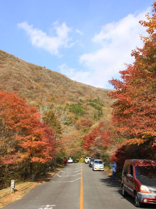 紅葉にはまだ少し早いだろうな、と思いつつもちらほら聞こえてくる紅葉便り。<br />一足早く、くじゅう高原へ紅葉めぐりのドライブに行ってきました。<br />写真は久住高原ロードパーク沿いの紅葉<br />