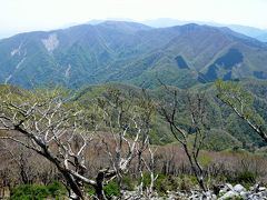 藤原岳（１１４０m）　鈴鹿にある花の百名山