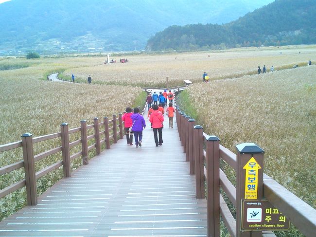 韓国33観音聖地のお寺、第13番の松広寺と第12番の向日庵を拝観するため、<br />順天と麗水を訪れました。<br />世界５大沿岸湿地の１つ、ラムサール条約にも登録された、<br />順天湾自然生態公園など他の観光地にも行ってみました。<br />3晩連続チムジルバン泊の自由気ままな一人旅。 