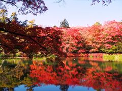 ＜紅葉と温泉の群馬＆信州旅・１＞秋の軽井沢サイクリング・真っ赤な雲場池と旧三笠ホテル