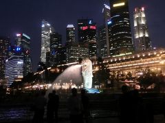 シンガポール旅行記（５）夜景、そしてマーライオン！