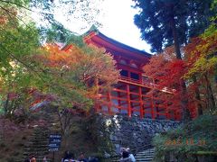 比叡山・御所・三千院 紀行