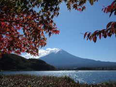 2015年紅葉…河口湖、山中湖…小作のほうとうも…