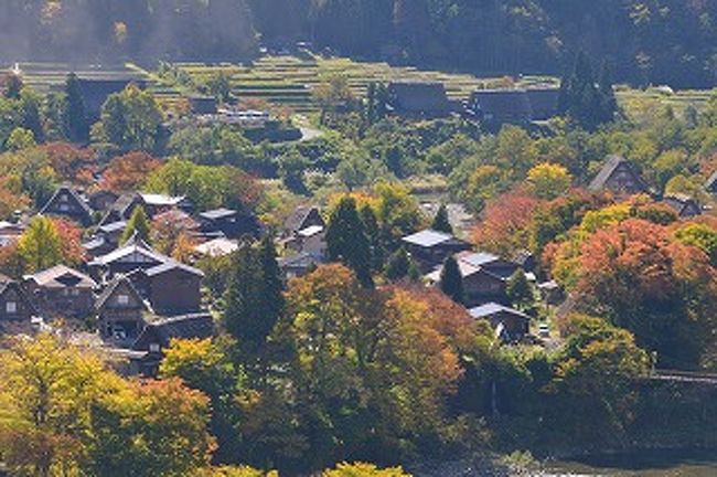 今年の秋の紅葉情報に一喜一憂の日々、１０月の末に紅葉の秋を<br />探しに友人と上高地・奥飛騨・白川郷とを巡る旅に参加。<br />上高地の紅葉に期待をしながら早朝の新宿をバスで出発。<br />秋の２日間、奥飛騨、白川郷と遊ぶ。<br /><br />季節を変えて訪れた観光地も初冬の季節を迎える。<br />つかの間の秋を追いかけながら日本の四季の美しさを<br />楽しんだ。