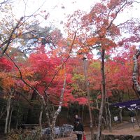 切手文化博物館から瑞宝寺公園