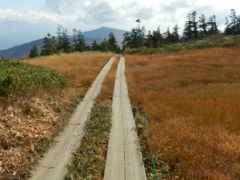 尾瀬・至仏山から鳩待峠に