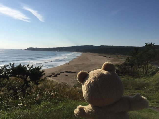 【青森県】やっとわかった、なぜ、種差海岸がハイドラ観光名所なのか