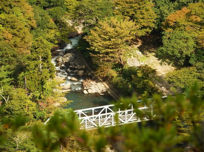 ２０１５年１０月９日、ラウンジでお茶をした後は、エクシブ箱根離宮のお庭を散策です。まだ１０月初旬でしたが、紅葉は始まって居ました。お庭は手入れが行き届いていて、気持ちの良い散歩でした。