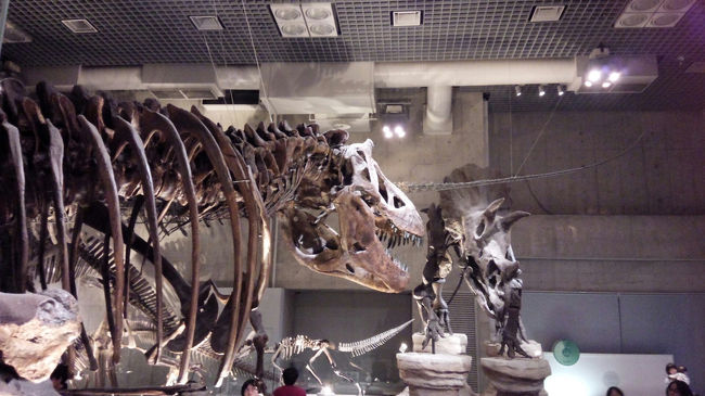 My 恐竜博物館 〈 ただじゃ行かないけど、ただだから行った☆ 国立科学博物館 on 文化の日 〉
