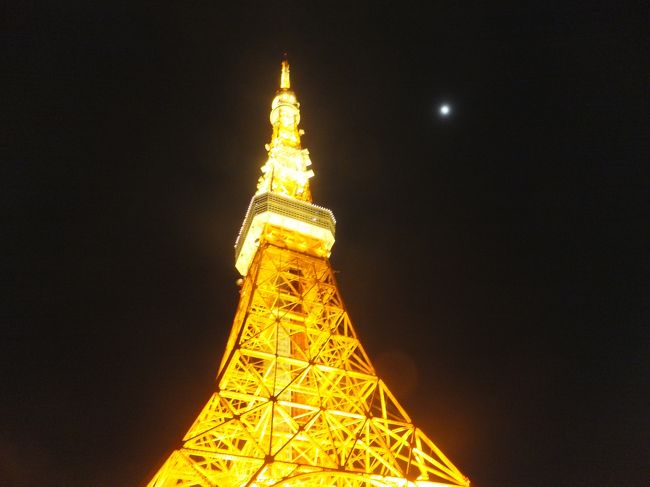 東京タワーの無料招待券をいただいていました。有効期限が近づいていたので、会社帰りに登ってみました。<br />実は２枚あったので今回ともう１回登っていますが、まずは１回目。<br />ＧＷ直前の東京タワーは日も延びて夕暮れ時からの変化する景色を楽しみました。