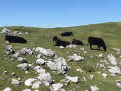 ★nekobuta旅行★弾丸ﾂｱｰ in 八釜渓谷・四国カルスト