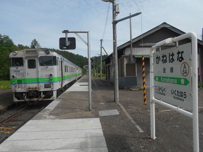 「B級でマイナー」というと失礼かもしれませんが、<br /><br />あまり一般的にメジャーではない観光地も全国にはたくさんあります。<br /><br />今回は、北海道の「北見ハッカ記念館&JR金華駅」をご紹介します。<br /><br /><br />★「B級でマイナーな観光地」シリーズ<br /><br />荒川ロックゲート(東京)<br />http://4travel.jp/travelogue/10438358<br />鮮魚列車&日本一短い商店街(大阪)<br />http://4travel.jp/travelogue/10420078<br />鹿嶋まつり&鹿島臨海鉄道鹿島臨港線(茨城)<br />http://4travel.jp/travelogue/10623562<br />鳴海球場跡(愛知)<br />http://4travel.jp/travelogue/10416547<br />西寺跡(京都)<br />http://4travel.jp/travelogue/10467065<br />「戸(へ)」のつく街めぐり(青森&岩手)<br />https://ssl.4travel.jp/tcs/t/editalbum/<br />関西電力黒部専用鉄道“上部軌道”(富山)<br />http://4travel.jp/travelogue/10535489<br />嘉穂劇場(福岡)<br />http://4travel.jp/travelogue/10536327<br />遊楽部川の鮭の遡上(北海道)<br />http://4travel.jp/travelogue/10555940<br />石見神社&白鳥城(兵庫)<br />http://4travel.jp/travelogue/10421611<br />西武秩父線のローカル駅(埼玉)<br />http://4travel.jp/travelogue/10441164<br />深谷駅&さきたま古墳&あついぞ!熊谷(埼玉)<br />http://4travel.jp/travelogue/10439881<br />内之浦&宮之城&藺牟田池(鹿児島)<br />http://4travel.jp/travelogue/10470926<br />京都一条妖怪ストリート(京都)<br />http://4travel.jp/travelogue/10565267<br />町田リス園(東京)<br />http://4travel.jp/travelogue/10416970<br />靭(うつぼ)公園(大阪)<br />http://4travel.jp/travelogue/10420097<br />士幌線廃線跡(北海道)<br />http://4travel.jp/traveler/satorumo/album/10440854/<br />氷のトンネル(北海道)<br />http://4travel.jp/travelogue/10606410<br />日本最北のマクドナルド&地吹雪の抜海駅(北海道)<br />http://4travel.jp/travelogue/10431780<br />“ののちゃん”と“タブチくん”のふるさと・玉野(岡山)<br />http://4travel.jp/travelogue/10563273<br />立山砂防軌道&立山カルデラ(富山)<br />http://4travel.jp/travelogue/10533323<br />日本一の長寿村&塩川&喜屋武岬(沖縄)<br />http://4travel.jp/travelogue/10470372<br />伊勢崎西部公園(群馬)<br />http://4travel.jp/traveler/satorumo/album/10723218<br />長浜大橋(愛媛)<br />http://4travel.jp/travelogue/10450812<br />くりはら田園鉄道乗車会(宮城)<br />http://4travel.jp/travelogue/10620825<br />塩田津&八本木宿&浜金屋&筑後川昇開橋(佐賀)<br />http://4travel.jp/travelogue/10468519<br />モエレ沼公園&宮島沼&777段ズリ山階段(北海道)<br />http://4travel.jp/travelogue/10462083<br />河童の里(福岡)<br />http://4travel.jp/travelogue/10478346<br />有田川町鉄道公園(和歌山)<br />http://4travel.jp/travelogue/10606420<br />小さい鳥居と愛野駅(長崎)<br />http://4travel.jp/travelogue/10520959<br />日本列島公園(愛知)<br />http://4travel.jp/travelogue/10472030<br />エキスポカフェ(大阪)<br />http://4travel.jp/traveler/satorumo/album/10561367/<br />吉野家ひめゆり通り店(沖縄)<br />http://4travel.jp/traveler/satorumo/album/10474837/<br />深泥池(京都)<br />http://4travel.jp/traveler/satorumo/album/10482981/<br />おっぱい観音&ち○こ神社&ま○こ神社(愛知)<br />http://4travel.jp/traveler/satorumo/album/10467364/<br />おっぱい神社&石のかざぐるま(岡山)<br />http://4travel.jp/traveler/satorumo/album/10467364/<br />赤川仮橋(大阪)<br />http://4travel.jp/traveler/satorumo/album/10465150/<br />立体交差する川&日本最古の油田跡(新潟)<br />http://4travel.jp/traveler/satorumo/album/10431152/<br />松尾鉱山跡(岩手)<br />http://4travel.jp/traveler/satorumo/album/10468179/<br />炭鉱の島・池島(長崎)<br />http://4travel.jp/traveler/satorumo/album/10471632/<br />アンモナイト&トロッコ(北海道)<br />http://4travel.jp/traveler/satorumo/album/10486376/ <br />スウェーデンヒルズ(北海道)<br />http://4travel.jp/traveler/satorumo/album/10487107/<br />白石川白鳥飛来地(宮城)<br />http://4travel.jp/traveler/satorumo/album/10518997/<br />沖縄県人の街(大阪市大正区)<br />http://4travel.jp/traveler/satorumo/album/10524096/ <br />桃太郎神社(愛知)<br />http://4travel.jp/traveler/satorumo/album/10532980/ <br />県下唯一の村・大衡村(宮城)<br />http://4travel.jp/traveler/satorumo/album/10562157/<br />東急東横線の廃線跡めぐり(神奈川)<br />http://4travel.jp/traveler/satorumo/album/10636836/<br />http://4travel.jp/traveler/satorumo/album/10645445<br />珈琲園ぶらじる(東京)<br />http://4travel.jp/traveler/satorumo/album/10683513/<br />鉄道ファンの聖地“ナイアガラ”(東京)<br />http://4travel.jp/traveler/satorumo/album/10697557/<br />http://4travel.jp/travelogue/10971520<br />大和駐屯地56周年記念行事(宮城)<br />http://4travel.jp/traveler/satorumo/album/10717128/<br />大和町の祭り「島田飴まつり」(宮城)<br />http://4travel.jp/traveler/satorumo/album/10754350/<br />http://4travel.jp/traveler/satorumo/album/10637868/ <br />“まほろば”の街・大和町(宮城)<br />http://4travel.jp/traveler/satorumo/album/10576613/<br />大和町の祭り「輪くぐり」(宮城)<br />http://4travel.jp/traveler/satorumo/album/10589009/<br />大和町の祭り「やぶさめ」(宮城)<br />http://4travel.jp/traveler/satorumo/album/10613094<br />スリランカセンター(宮城)<br />http://4travel.jp/traveler/satorumo/album/10787912/<br />奥羽本線スイッチバック跡「大沢駅&峠駅&板谷駅」(山形)<br />http://4travel.jp/traveler/satorumo/album/10794623/<br />奥羽本線スイッチバック跡「赤岩駅」(福島)<br />http://4travel.jp/traveler/satorumo/album/10797881<br />あくねツーリングSTAYtion(鹿児島)<br />http://4travel.jp/traveler/satorumo/album/10827924/<br />ブルートレインたらぎ(熊本)<br />http://4travel.jp/traveler/satorumo/album/10835575<br />多磨霊園(東京)<br />http://4travel.jp/travelogue/10857817<br />薬師公園(岩手)<br />http://4travel.jp/travelogue/10892441<br />JICA地球ひろばでネパール料理(東京)<br />http://4travel.jp/travelogue/10899446<br />鶴亀屋食堂(青森)<br />http://4travel.jp/travelogue/10922752<br />高輪橋架動橋(東京)<br />http://4travel.jp/travelogue/10944478<br />山道国道(福島)<br />http://4travel.jp/travelogue/10437982<br />日本一短い川「ぶつぶつ川」(和歌山)<br />http://4travel.jp/traveler/satorumo/album/10415707/<br />日本一寒い街「美深」(北海道)<br />http://4travel.jp/travelogue/10432285<br />宇宙村(東京)<br />http://4travel.jp/travelogue/11020775<br />讃岐うどん 條辺(埼玉)<br />http://4travel.jp/travelogue/10860967<br />京都激辛商店街(京都)<br />http://4travel.jp/travelogue/11047202<br />神田一安い居酒ヤ「とうきょう」(東京)<br />http://4travel.jp/travelogue/11053874<br />東急東横線の廃線跡めぐり(東京)<br />http://4travel.jp/travelogue/10899445<br />小田急小田原線の廃線跡めぐり(東京)<br />http://4travel.jp/travelogue/10912625<br />東京大仏&植村冒険館&水車公園&竹の子公園(東京)<br />http://4travel.jp/travelogue/11069939<br />北見ハッカ記念館&JR金華駅(北海道)<br />http://4travel.jp/travelogue/11072666<br />ほたるの里童謡公園(長野)<br />http://4travel.jp/travelogue/11080024<br />日本一低い山“日和山”(宮城) <br />http://4travel.jp/travelogue/11084412<br />エコポリスセンター&熱帯環境植物館&リサイクルプラザ(東京)<br />http://4travel.jp/travelogue/11085240<br />日本で海岸線から一番遠い地点(長野)<br />http://4travel.jp/travelogue/11096788<br />すぎなみ知る区ロード(東京)<br />http://4travel.jp/travelogue/11105158<br />東峰神社(千葉)<br />http://4travel.jp/travelogue/11112662<br />すなば珈琲(鳥取)<br />http://4travel.jp/travelogue/11124525<br /><br />