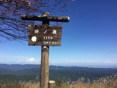 棒の折山