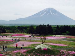 芝桜