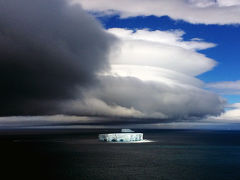 南極満喫。氷と野生動物と絶景に癒される！