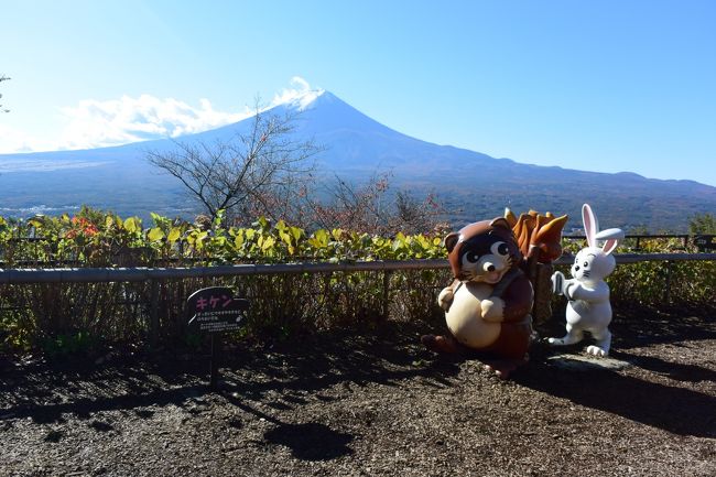 ２０１５年１１月３日　文化の日。<br />朝から快晴！富士山を見たいので河口湖へとドライブして来ました。<br /><br />朝は八王子あたりでガスも出てきて、今日はこのままＵターンかなぁとか心配していましたが、河口湖ＩＣを降りる８時半位には、なんと富士山がくっきりと見えるお天気になっていました。<br /><br />湖とともに富士山がよく見え、湖畔周辺や周りの山々の紅葉も楽しめました。<br /><br />カチカチ山展望台から見た富士山です。<br />