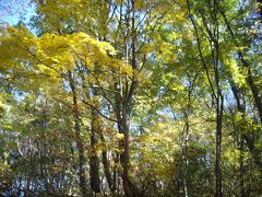 長岡市立悠久山公園の紅葉を観た