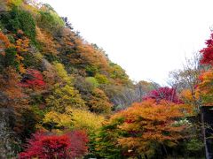 みたらい渓谷の紅葉がピーク　渋滞もピーク