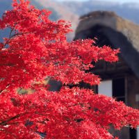 下呂から飛騨高山そして白川郷へ　2015年11月