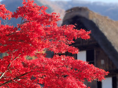 下呂から飛騨高山そして白川郷へ　2015年11月