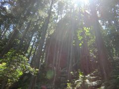 ちょっと熊野古道 (^O^) 馬越峠と天狗倉山