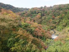 2015 紅葉の箱根を駆け抜けてみました