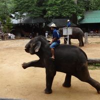 タイのチェンマイ（2015年11月旅行記）