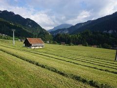 スイスの山の牧草刈り風景【スイス情報.com】