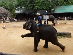 タイのチェンマイ（2015年11月旅行記）