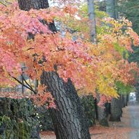 2015_軽井沢旅行記