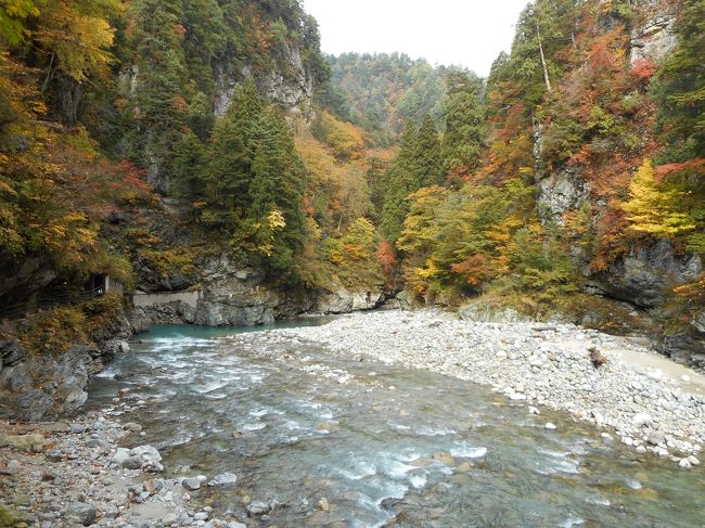 一度は乗りたいと思っていた黒部峡谷鉄道ですが、富山マラソンの前日に乗ってきました。<br />ちょうど紅葉シーズン真っ盛りで、少し寒かったですが、十二分に峡谷の風景を楽しむことができました。<br />また、午後はちょっとシュールな立山博物館にも立ち寄ってきました。