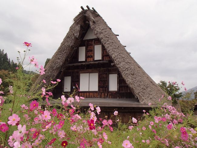 急遽思い立った旅行なのでほぼ下調べ無しで行きました。<br />行ったことの無い県で手軽に1泊2日で行ける県という事で富山県に決定しました。<br />初めての県はワクワクします。<br />富山と言えば立山が有名ですが今回は観光よりも食事がメインの旅です。