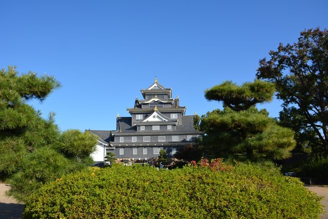 2泊3日の旅も、今日で終わりです。<br />2日目に周る予定の、後楽園と岡山城が天気予報を見ての判断で、最終日に<br />なってしまいました。<br /><br />ホテルからタクシーで後楽園へ、岡山城から妙福寺を経て蓮昌寺を巡り、<br />帰路へ着きました。<br />
