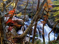 ◆燃ゆる渓谷・晩秋の山鶏滝