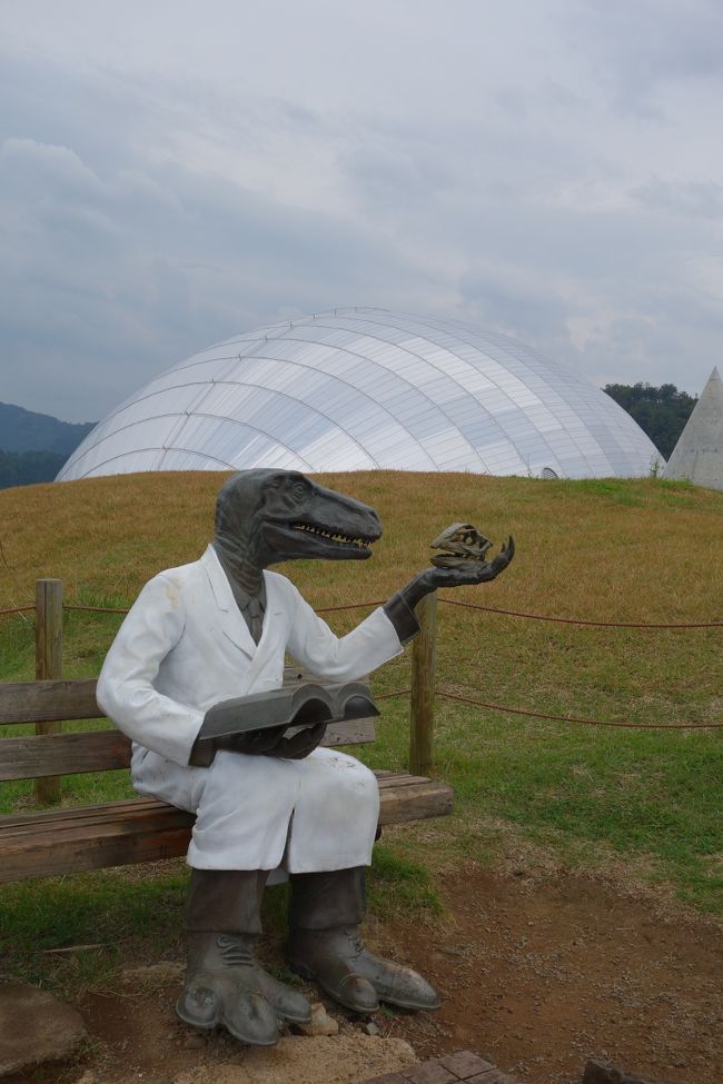 ついに到着しました、福井県立恐竜博物館！<br />福井県立恐竜博物館は、2000年7月に恐竜化石の一大産地である福井県勝山市に建てられた、恐竜を中心とする地質・古生物学博物館です。<br /><br />1982年に、勝山市北谷の杉山川左岸の崖で、中生代白亜紀前期のワニ類化石が発見された事が発端となり、同地で、福井県立博物館（当時）が1988年に予備調査を実施し、肉食恐竜の歯などを発見しました。<br />この調査を踏まえ、1989年から1999年まで第1次・第2次5ヵ年計画で恐竜化石調査事業に取組み、恐竜をはじめとする多数の脊椎動物の歯、骨、足跡等の化石を発見採取しました。<br />その数は、日本で発掘された恐竜化石の大部分を占め、更に、恐竜の連続歩行の足跡化石や肉食恐竜の「かぎづめ」が国内で初めて完全な形で発見されるなど、質的にも非常に優れていたのです。<br />このような事から、これらの貴重な恐竜資源を学術研究をはじめ生涯学習、地域振興、イメージアップ等に活用し国内外にアピールするため、恐竜を中心とした古生物やその背景となる地球の歴史を対象にした恐竜博物館が県立博物館から自然系を分離して建設されたのです。<br />http://www.dinosaur.pref.fukui.jp/<br /><br />息子一家に先を越され、4トラのフォロワー様方にも先を越され、かなり悔しい思いを<br />しましたが、ツレとの都合が合わなかったのを良い事に（？）、秋の乗り放題パスを使っての福井入り。<br />せっかくの機会なので、開館から丸一日を此処で費やすつもりです。<br />まずは野外恐竜博物館から。<br />期間限定の専用バスによるツアー形式で、所要時間は往復1時間、体験・見学に1時間。事前の予約が必要です（当日分も一部有り）。<br /><br />