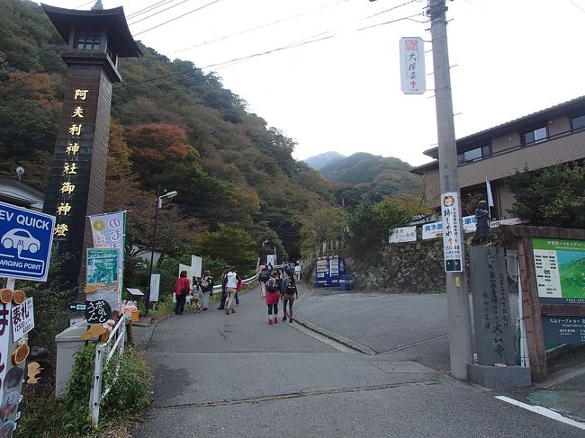 神奈川県民心のオアシス、大山（下社まで）に紅葉を観になんとなく家族で出掛けました。<br />ちなみに大山の読みはは「だいせん」ではなく「おおやま」です。