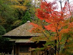 旧閑谷学校の紅葉　お目当ての櫂の木の紅葉は！！！、でも見頃で綺麗な紅葉が楽しめました。