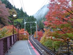 雨の洛北へ紅葉を探しに・・・・（岩倉実相院～貴船～鞍馬）