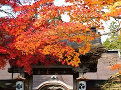 紅葉を求めて開創千二百年の高野山へ