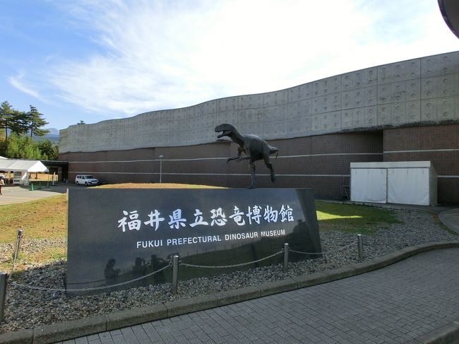 久しぶりにドライブをかねて恐竜博物館に行ってきました、京都北区を、９時前に出発、大原を通り、朽ち木谷を抜けて<br />秋色の山を愉しみながら熊川宿を抜けて１時間２０分ほどで若狭毎鶴道路若狭上中インターに、三方五湖ｓｐで休憩<br />勝山市の県立恐竜博物館の近くに着いたのは11時40分過ぎ、のんびり走って2時間40時分ほどでした、近くの手打ちソバ屋さん（勝食）で、美味しいおそばを頂きました。<br />博物館に入場70才以上は無料です、外観は卵をかたどった輝くドーム中は地下に恐竜の骨格や、復元模型（動く実物大）などが所狭しと並べられ、子供だけで無く大人もとても楽しめる設備です、テレビや本で恐竜の大きさなどを知っていても、実物の前ではやはりビックリ・・ある意味人類はとても恵まれていたのだと感じます、もし、恐竜が絶滅しなかったら、哺乳動物にチャンスは回って来なかったことでしょう。<br />タップリ地球の過去を覗き3時間あまり愉しみました。<br />帰りは北陸道名神を走り３時間２０分ほどで京都に帰りました、秋晴れの気持ちの良いドライブでした、北回りの方が近いことが分かり新し井発見でした、高速道路が必ず早いとは限りません