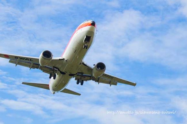 朝一の飛行機で羽田から那覇へ、石垣島までの乗り継ぎ時間が長いのでレンタカーを借りて観光後に夕方石垣島へ。<br /><br />異常気象で連日夏日28℃くらいでした。<br /><br />石垣島では白保の民宿「くんや」に二泊。<br />http://www.thida.net/m/kunya/home/info.html<br /><br />２２日は夕方の便で那覇へ移動。<br />壺屋のウィークリーマンションで３泊。<br /><br />飛行機はANAの旅割。