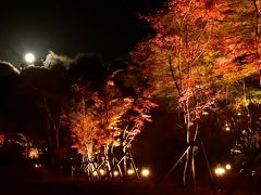 ２０１５年秋　山中湖ロッジ滞在記（１）夕焼けの渚公園紅葉祭り　
