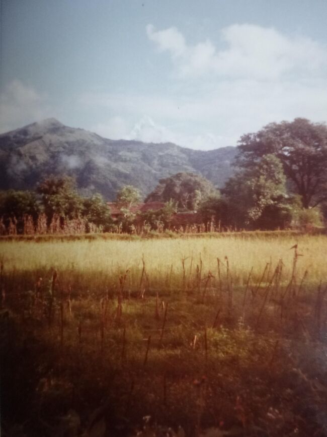 (2)1980年旧西欧(16か国)エジプト　パキスタン　インド　ネパール136日間放浪の旅(97)ネパール(ポカラ)