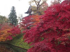 紅葉と温泉を満喫する青森女2人旅　3日間　