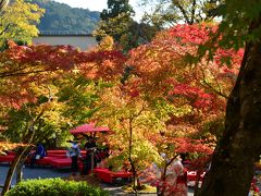 京都紅葉情報　南禅寺永観堂の紅葉は、もう少しで見ごろを迎えます　２０１５年１１月６日　その１