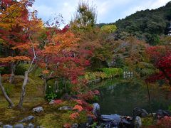 京都　紅葉情報　南禅寺　永観堂の紅葉は、もう少しで見ごろを迎えます　２０１５年１１月６日　その２