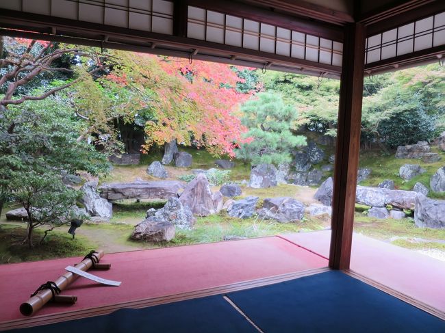 所用で大阪へ出掛けました。そろそろ紅葉　そうだ京都へ行こう!!・・・(@_@)どこかのキャッチフレーズじゃないですが、京都へ行ってきました。<br />紅葉が見れる所はどこ？<br />一部色づき始めた圓徳院と高台寺へ。まだ早いかなと思っていましたが、いやいや思っていた以上に綺麗で緑の中の赤や黄色のコントラストも素敵でした。<br />紅葉を探した京都の旅。宜しければお付き合いいただければ幸いです。<br /><br /><br />(1) 2015年そろそろ紅葉　そうだ京都へ行こう!!　行ってきました圓徳院と高台寺♪<br />http://4travel.jp/travelogue/11074518<br />(2) 2015年そろそろ紅葉　そうだ京都へ行こう!!　行ってきました永観寺と青蓮院ライトアップ♪<br />http://4travel.jp/travelogue/11074860<br />(3) 2015年そろそろ紅葉　そうだ京都へ行こう!!　行ってきました京都御所♪<br />http://4travel.jp/travelogue/11076115