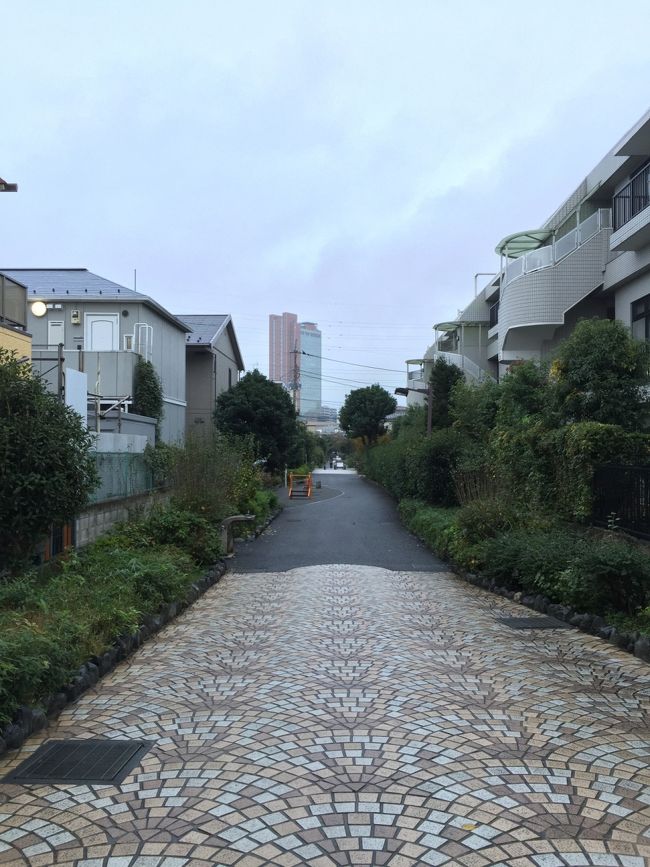 小雨の中、朝のウォーキング決行。<br />今日は<br />宮の坂→世田谷城→鳥山川緑道→三茶→池尻大橋。約5kmのウォーキング。