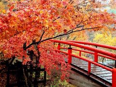 紅葉真っ只中の伊香保温泉と榛名神社～①